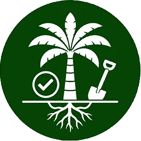 خدمات تخصصی 4 کاشت-تخصصی-و-تضمینی-نخل